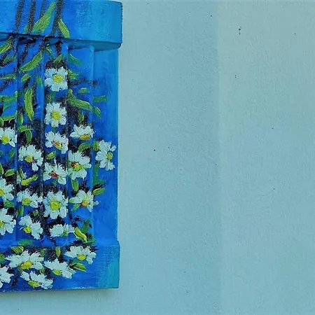 Iris'
